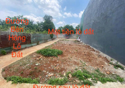 🌟 BÁN GẤP LÔ ĐẤT 3 MẶT TIỀN VIP – HẺM LƯƠNG THẾ VINH, TP. BUÔN MA THUỘT 🌟