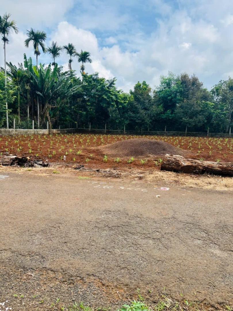 BÁN ĐẤT MẶT TIỀN 22B – ĐẠT LÝ, TÂN AN