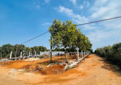 CẦN BÁN LÔ ĐẤT SÀO GÓC 2 MT – THÔN 6 CƯEBUR DIỆN TICH : 924 M – NAY THUỘC PHƯỜNG BUÔN MA THUỘT