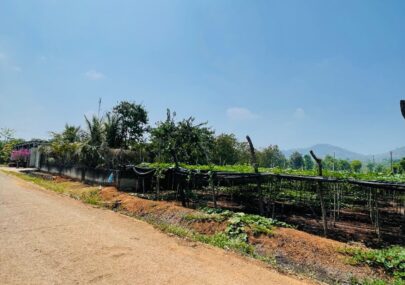 🌿 BÁN LÔ ĐẤT NHÀ VƯỜN CƯ ÊBUR – GIÁ TỐT CHỈ 2,4 TỶ 🌿